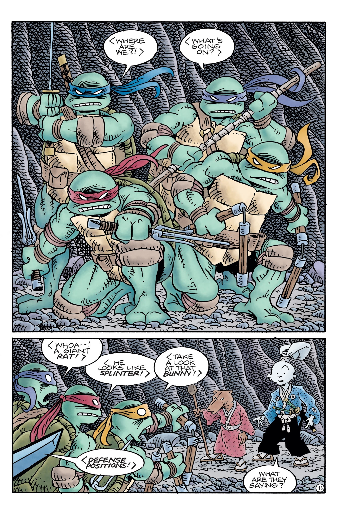 Read online Teenage Mutant Ninja Turtles/Usagi Yojimbo comic -  Issue # Full - 13