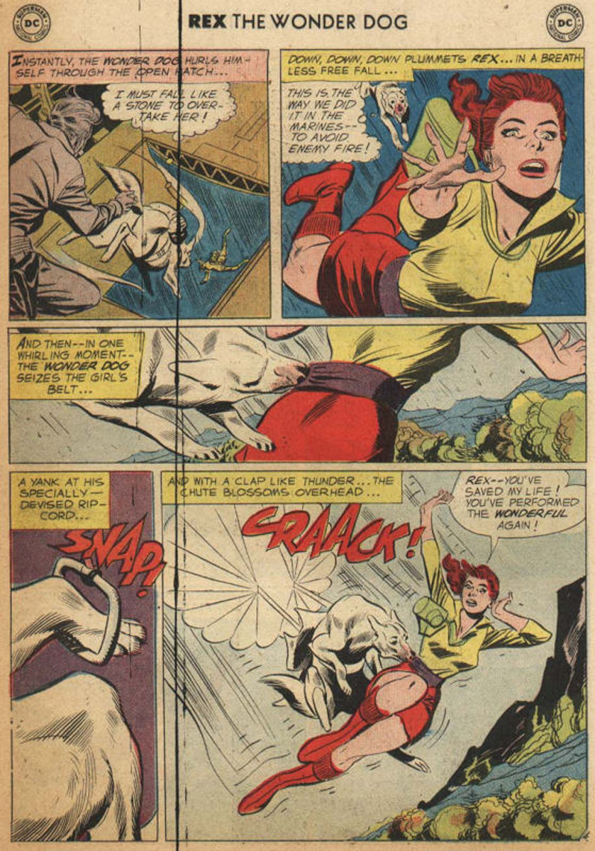 Read online The Adventures of Rex the Wonder Dog comic -  Issue #44 - 5