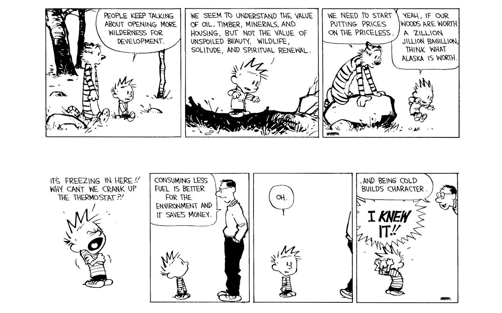 Calvin and Hobbes issue 11 - Page 144