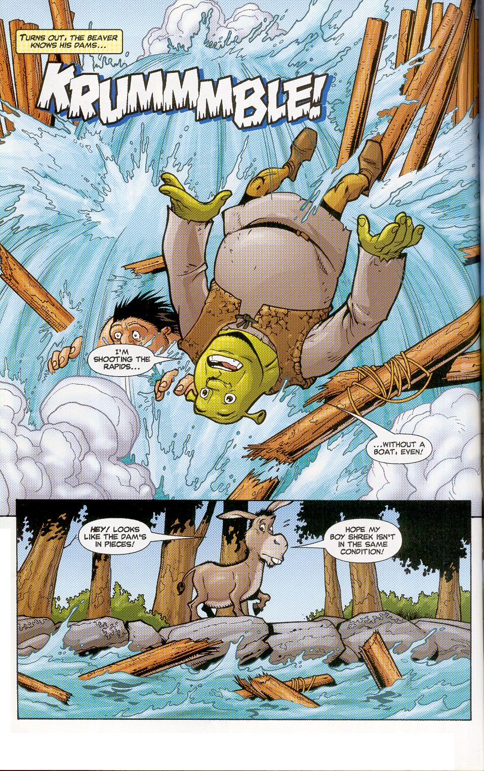 Read online Shrek (2003) comic -  Issue #3 - 21