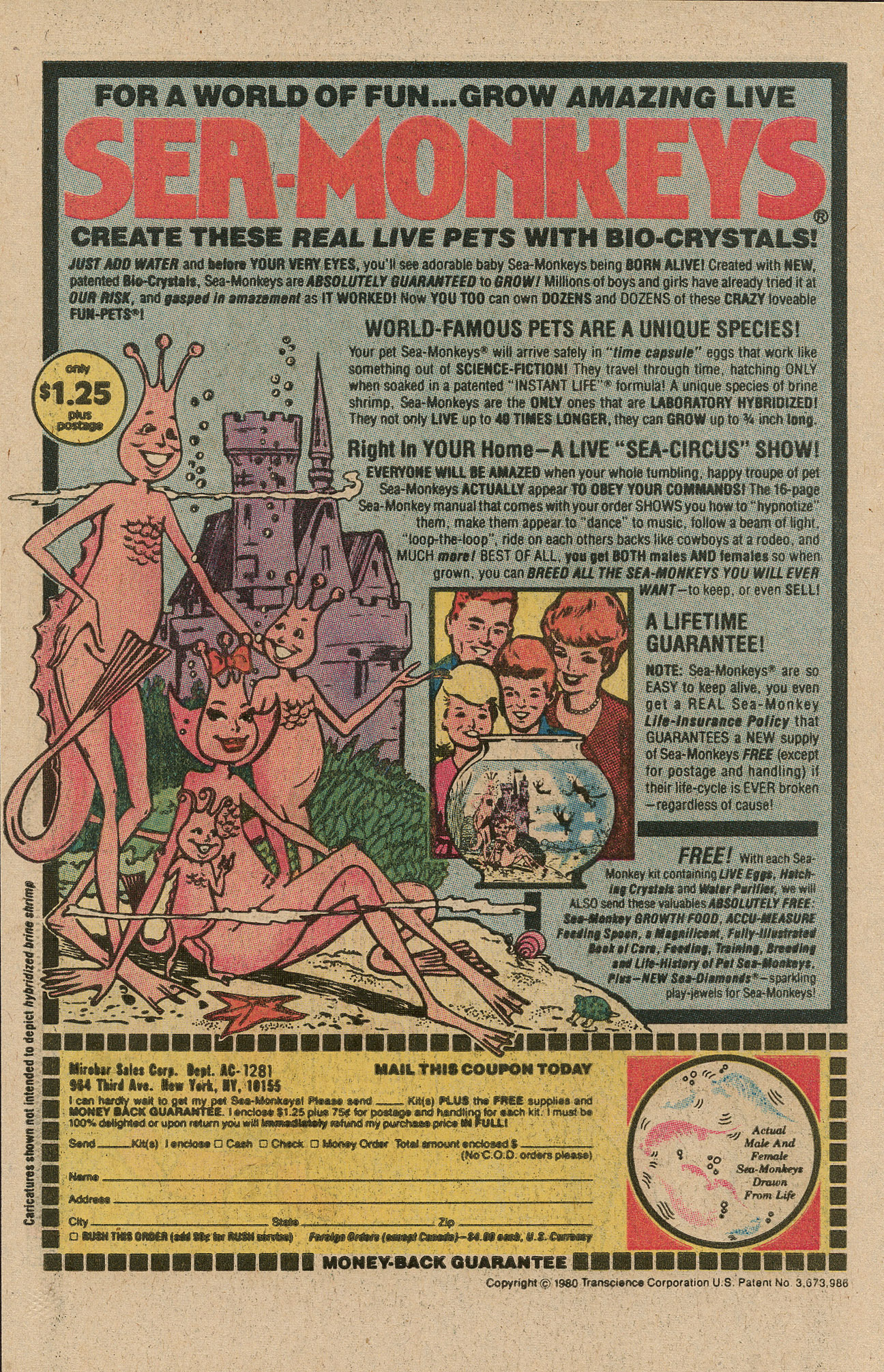 Read online Archie's TV Laugh-Out comic -  Issue #84 - 34