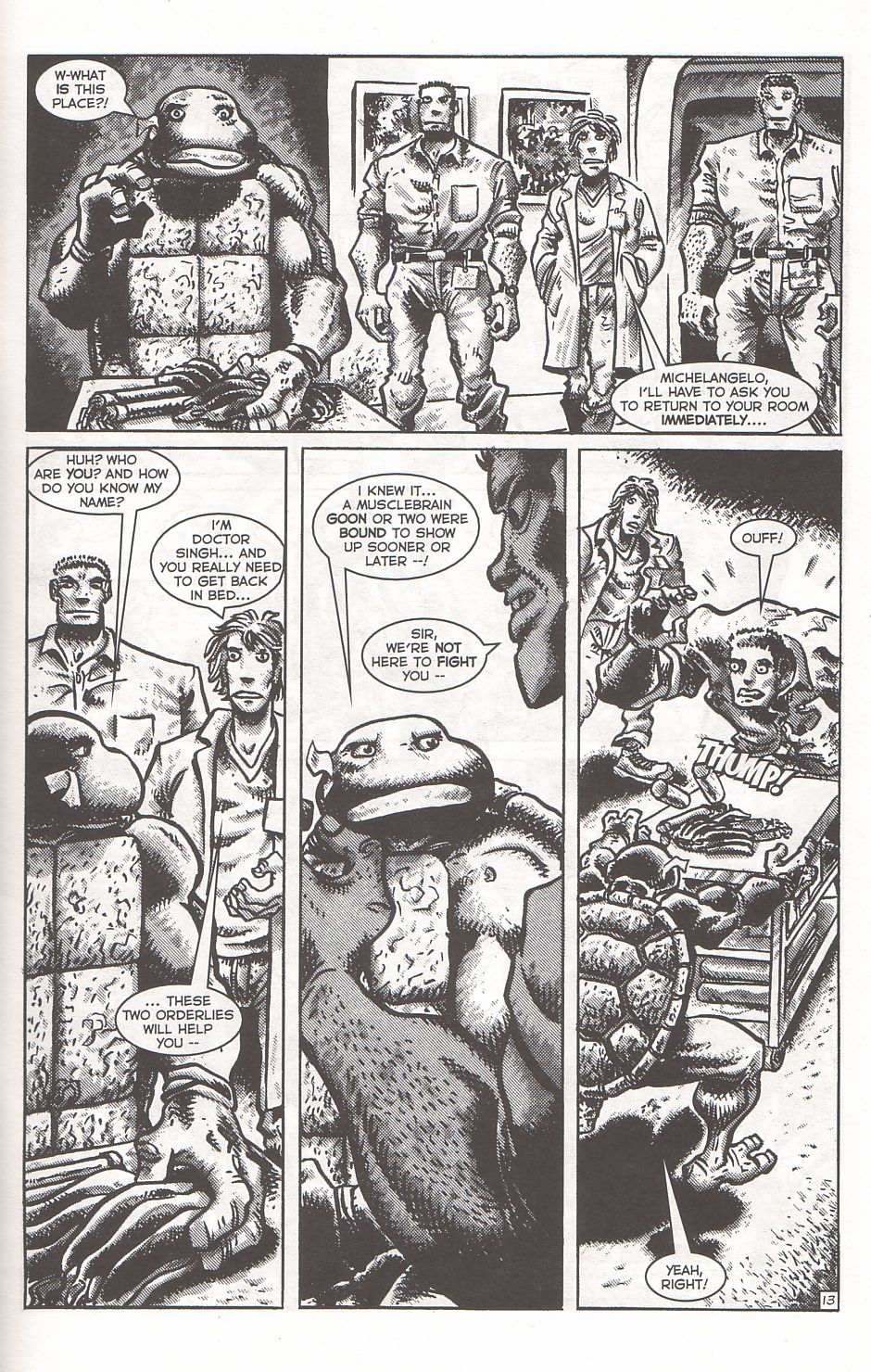 Read online TMNT: Teenage Mutant Ninja Turtles comic -  Issue #2 - 16