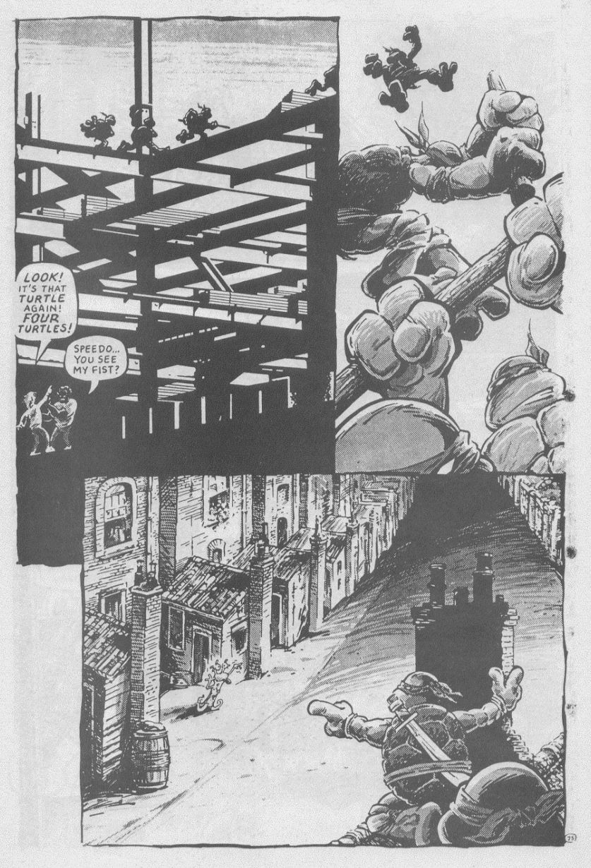 Teenage Mutant Ninja Turtles (1984) Issue #16 #16 - English 28