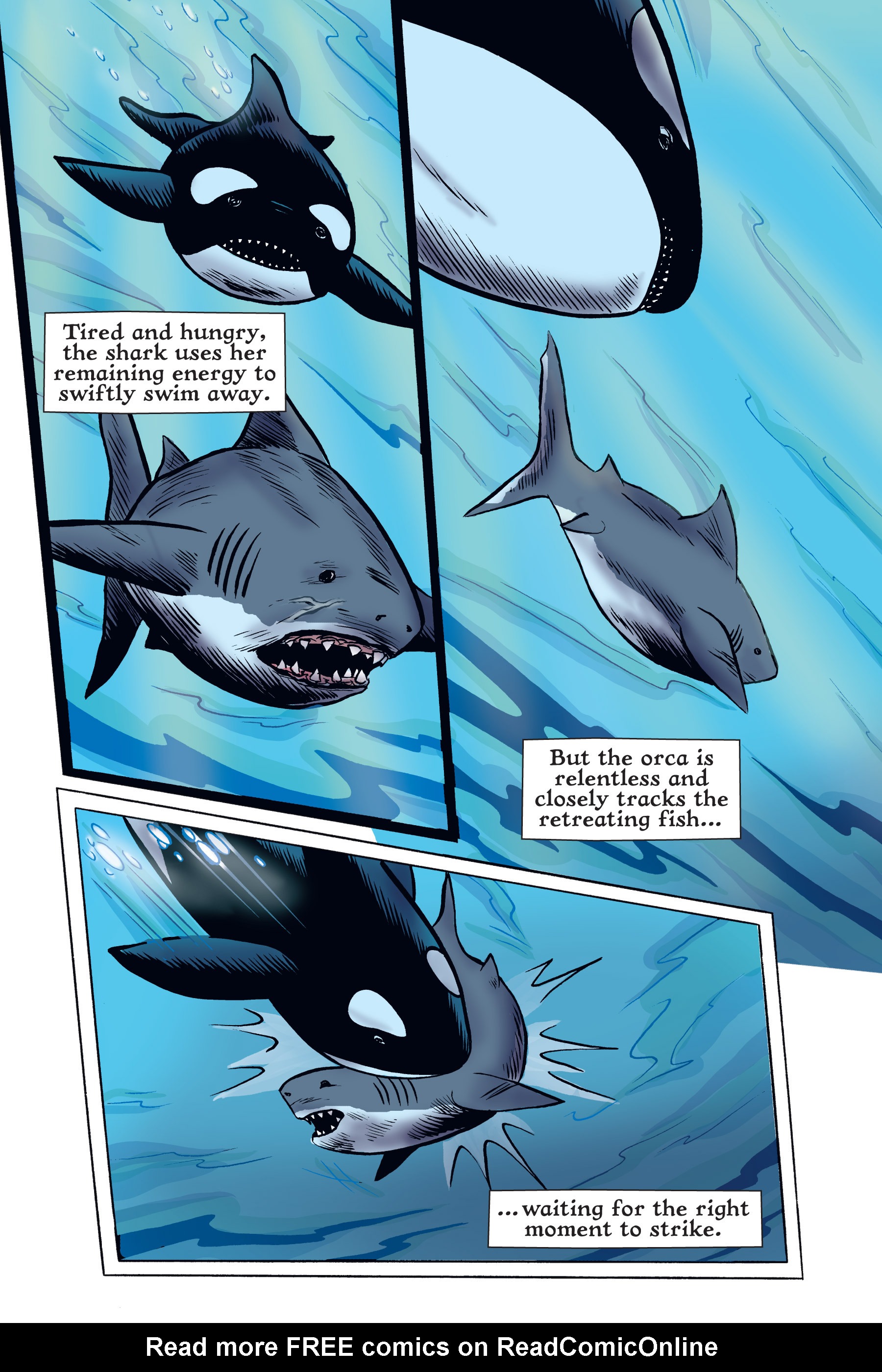 Read online Xoc: Journey of a Great White comic -  Issue # TPB - 119