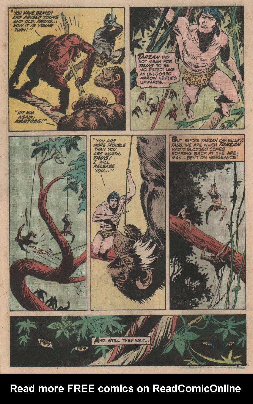 Read online Tarzan (1972) comic -  Issue #252 - 14