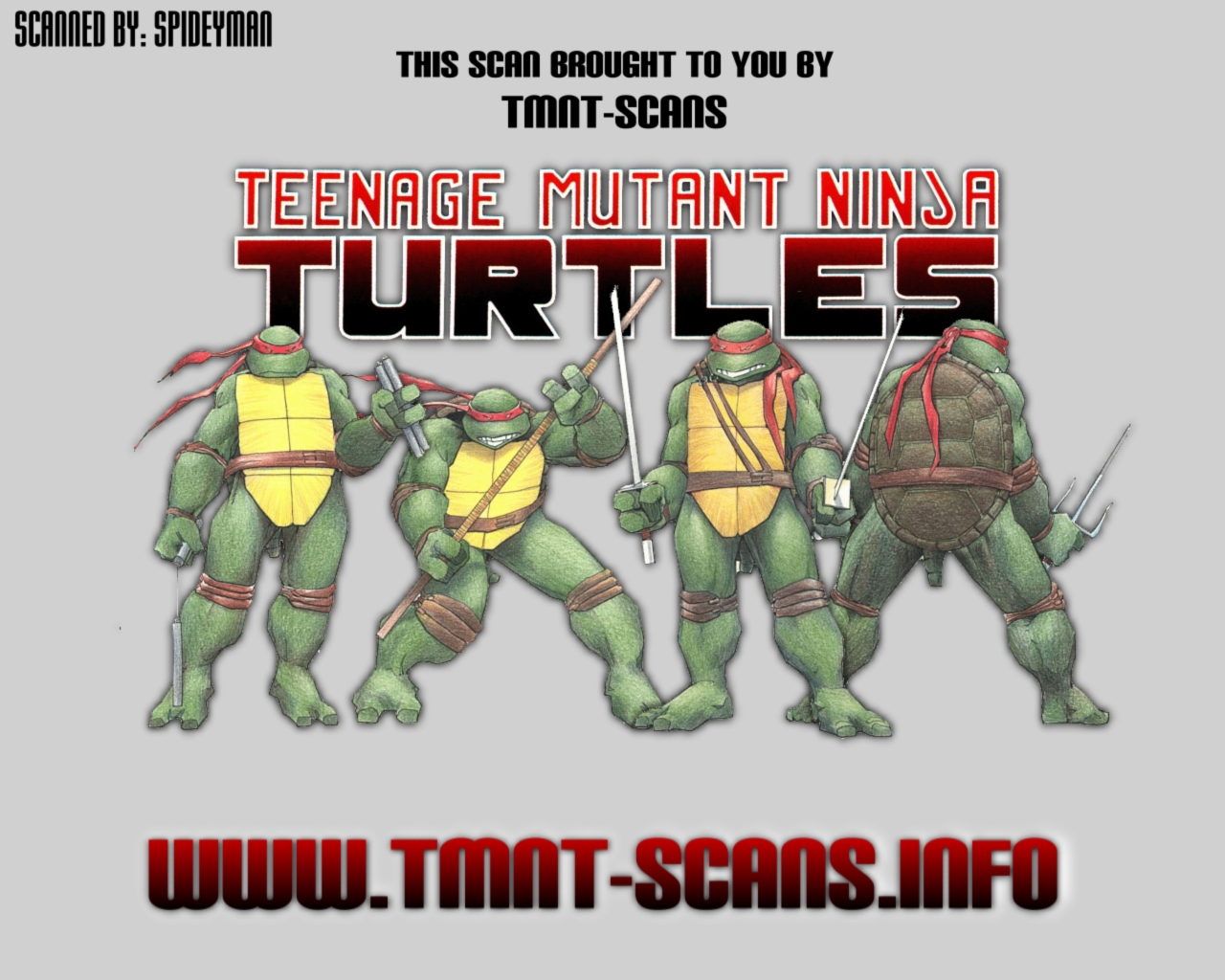 Teenage Mutant Ninja Turtles (1996) Issue #16 #16 - English 22