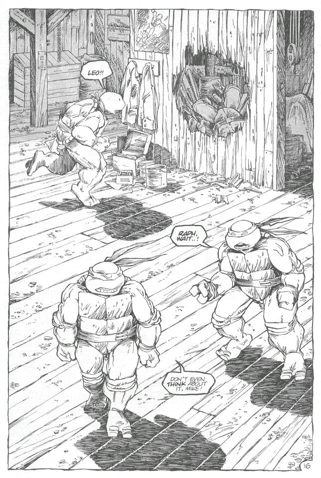 Teenage Mutant Ninja Turtles (1984) Issue #19 #19 - English 17
