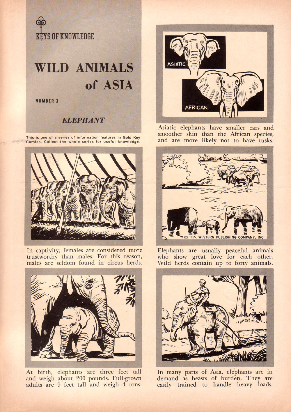 Read online Korak, Son of Tarzan (1964) comic -  Issue #8 - 35