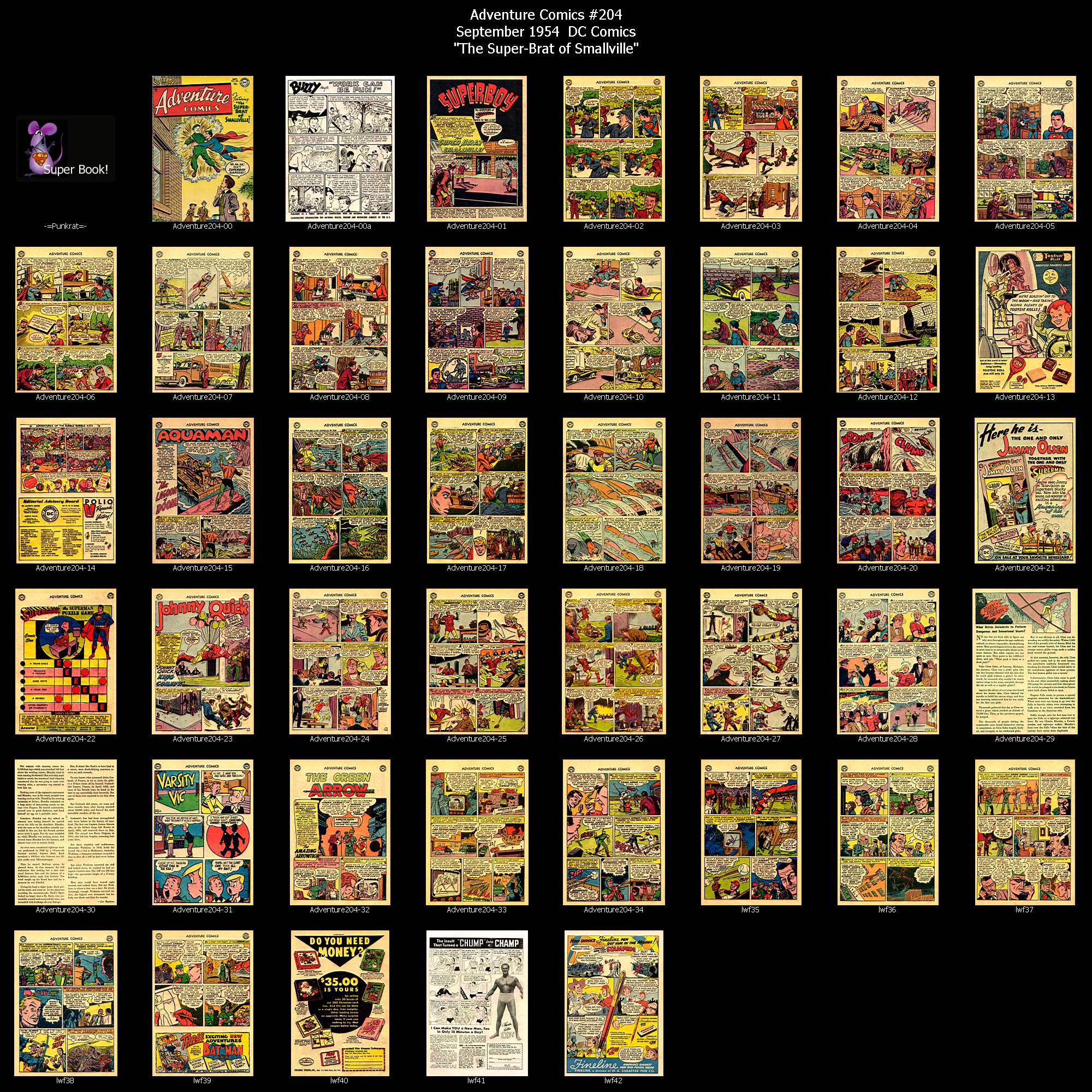 Read online Adventure Comics (1938) comic -  Issue #204 - 45