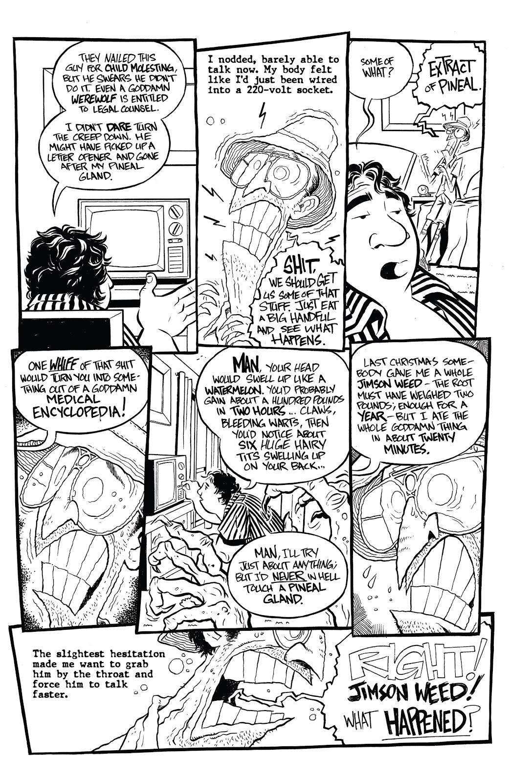 Hunter S. Thompson's Fear and Loathing in Las Vegas issue 3 - Page 37