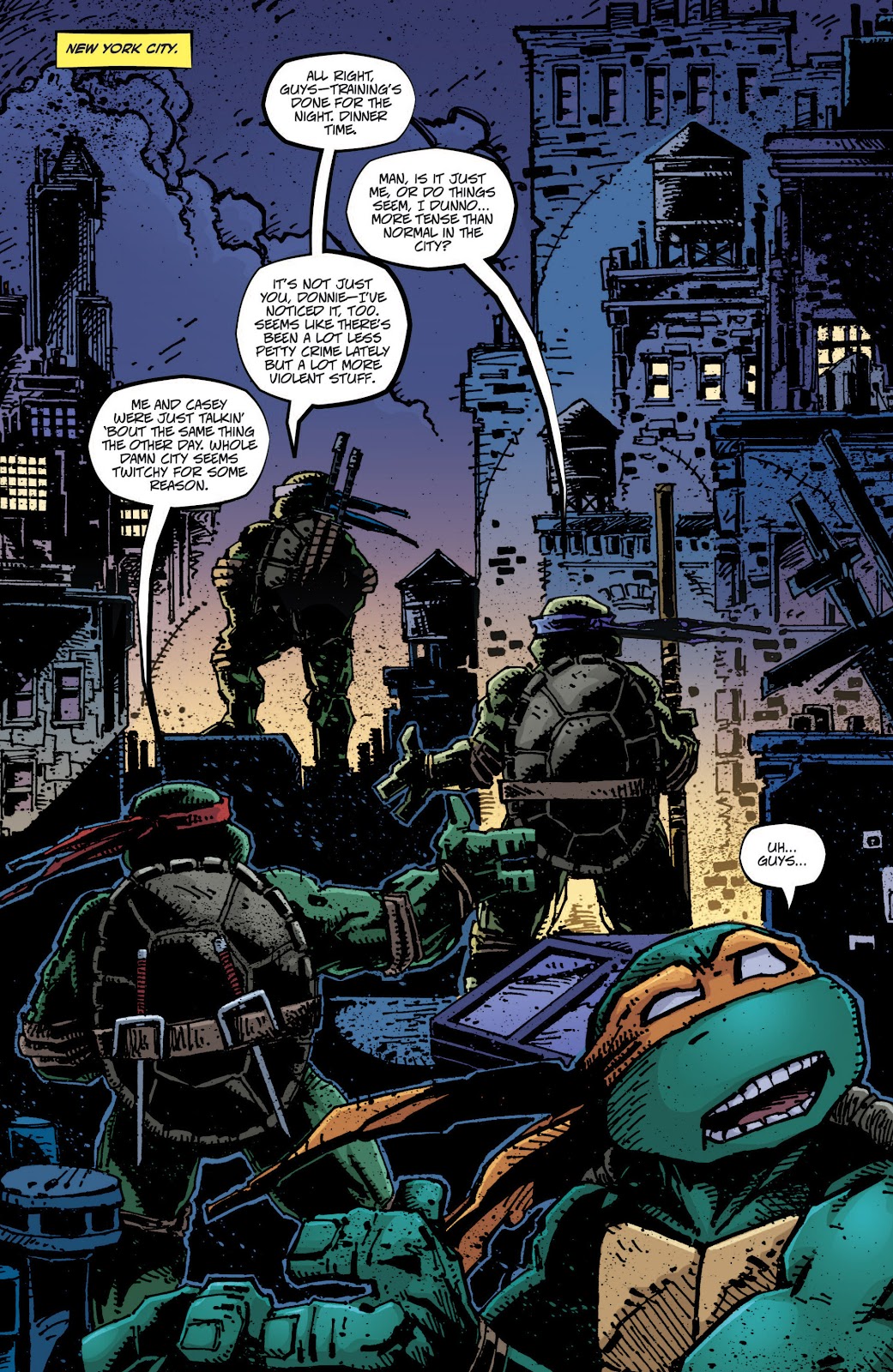 Teenage Mutant Ninja Turtles (2011) issue 21 - Page 9