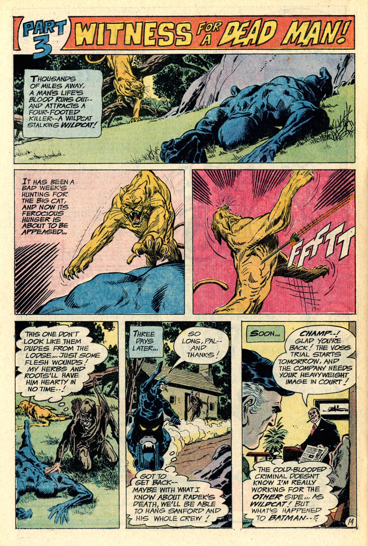 Read online The Brave and the Bold (1955) comic -  Issue #110 - 25