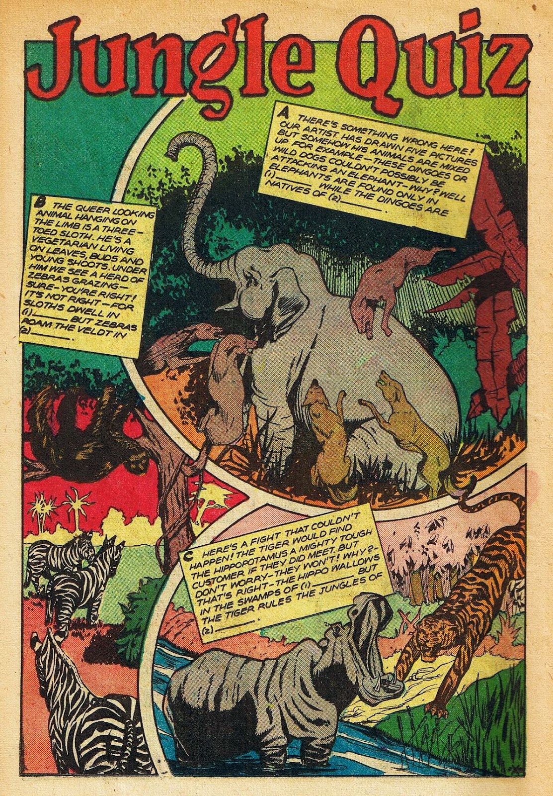 Sheena, Queen of the Jungle (1942) issue 11 - Page 14