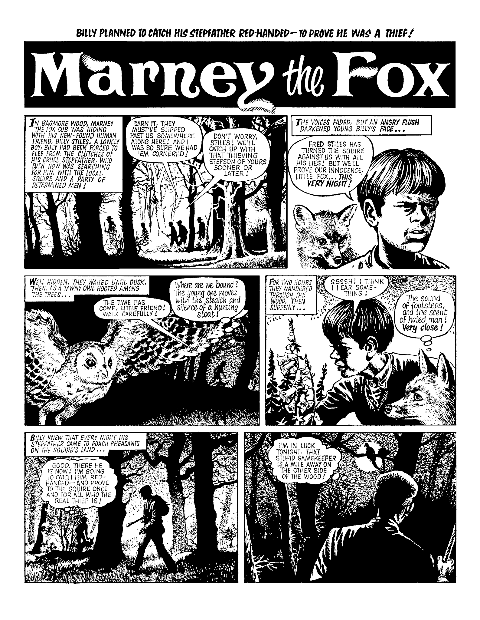 Read online Marney the Fox comic -  Issue # TPB (Part 1) - 85