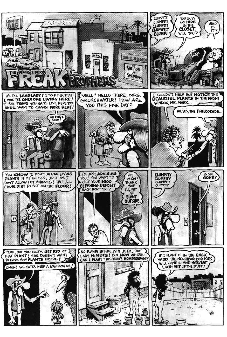 Read online The Fabulous Furry Freak Brothers comic -  Issue #13 - 25