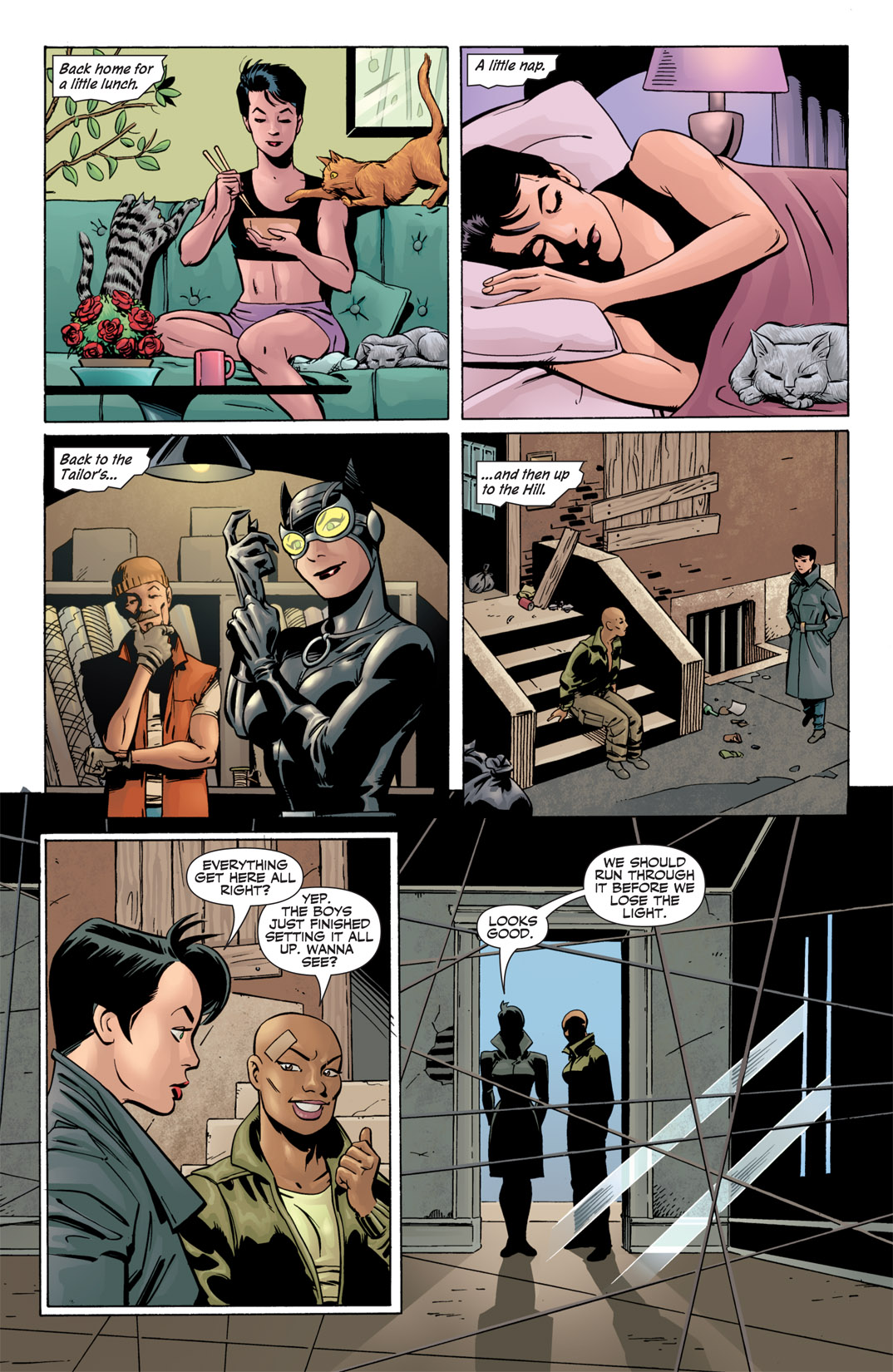 Read online Catwoman (2002) comic -  Issue #43 - 11