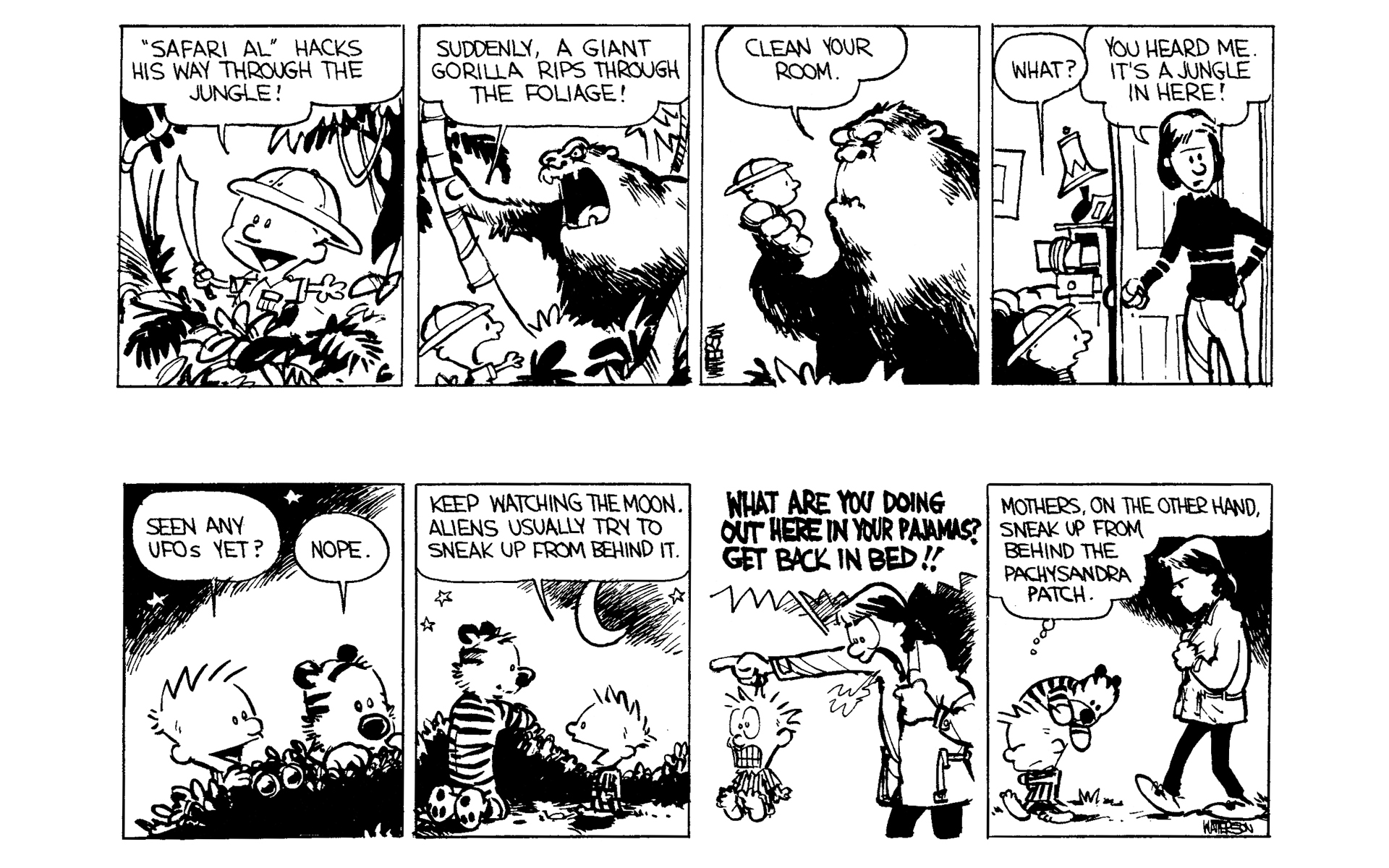 Read online Calvin and Hobbes comic -  Issue #1 - 83