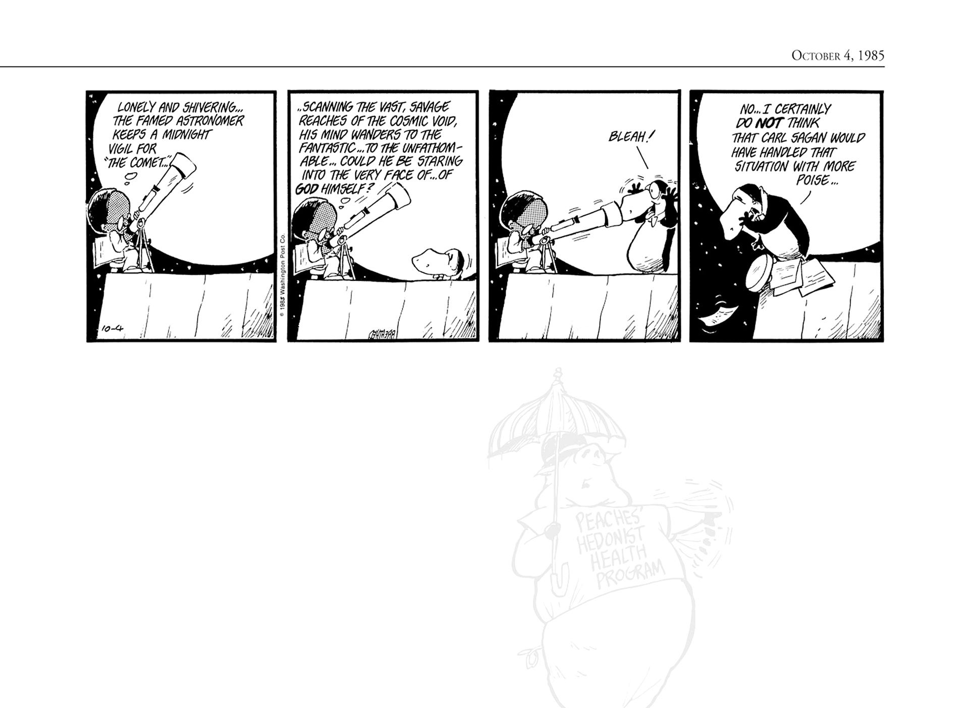 Read online The Bloom County Digital Library comic -  Issue # TPB 5 (Part 3) - 85