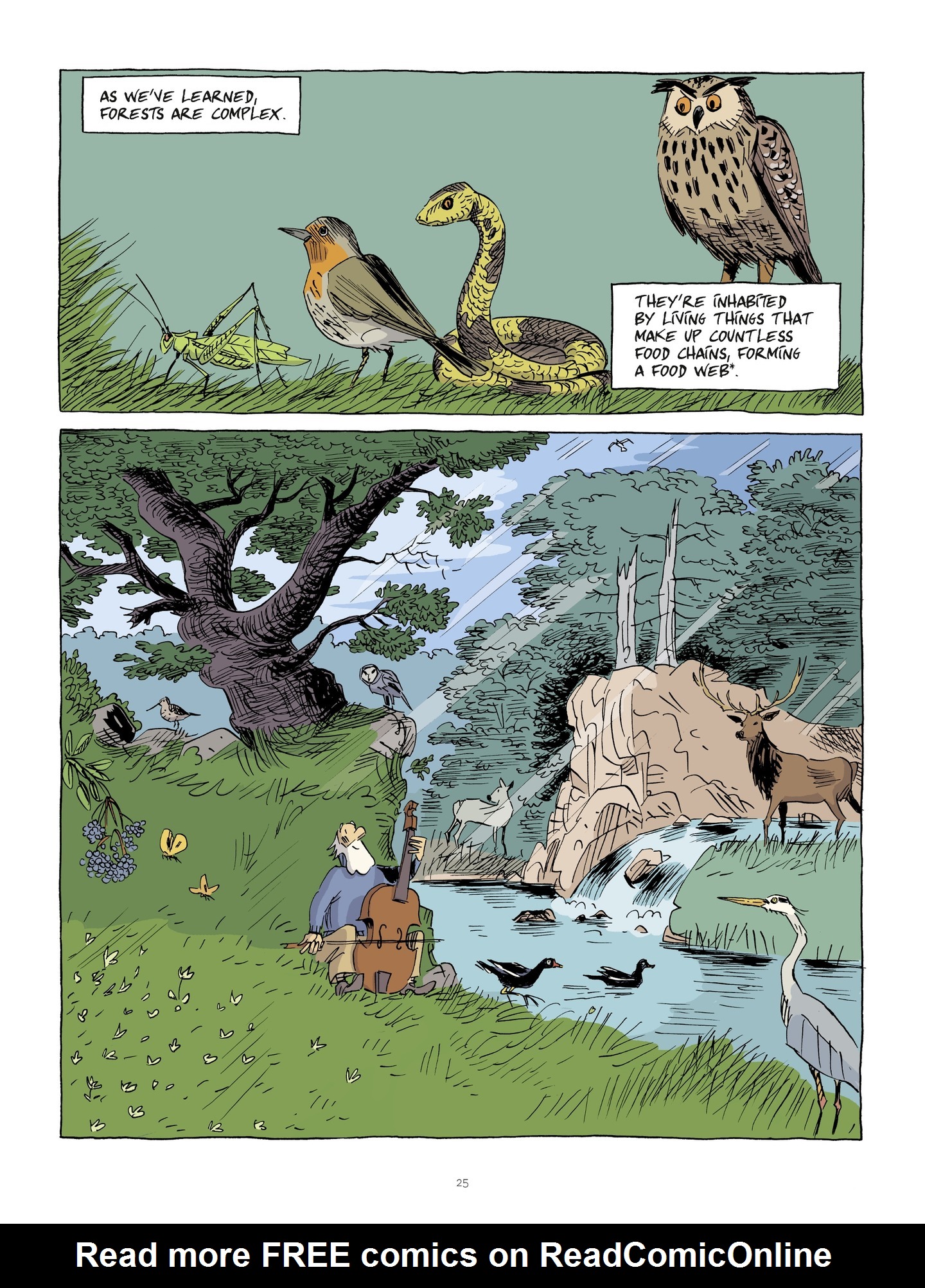 Read online Hubert Reeves Explains comic -  Issue #2 - 25