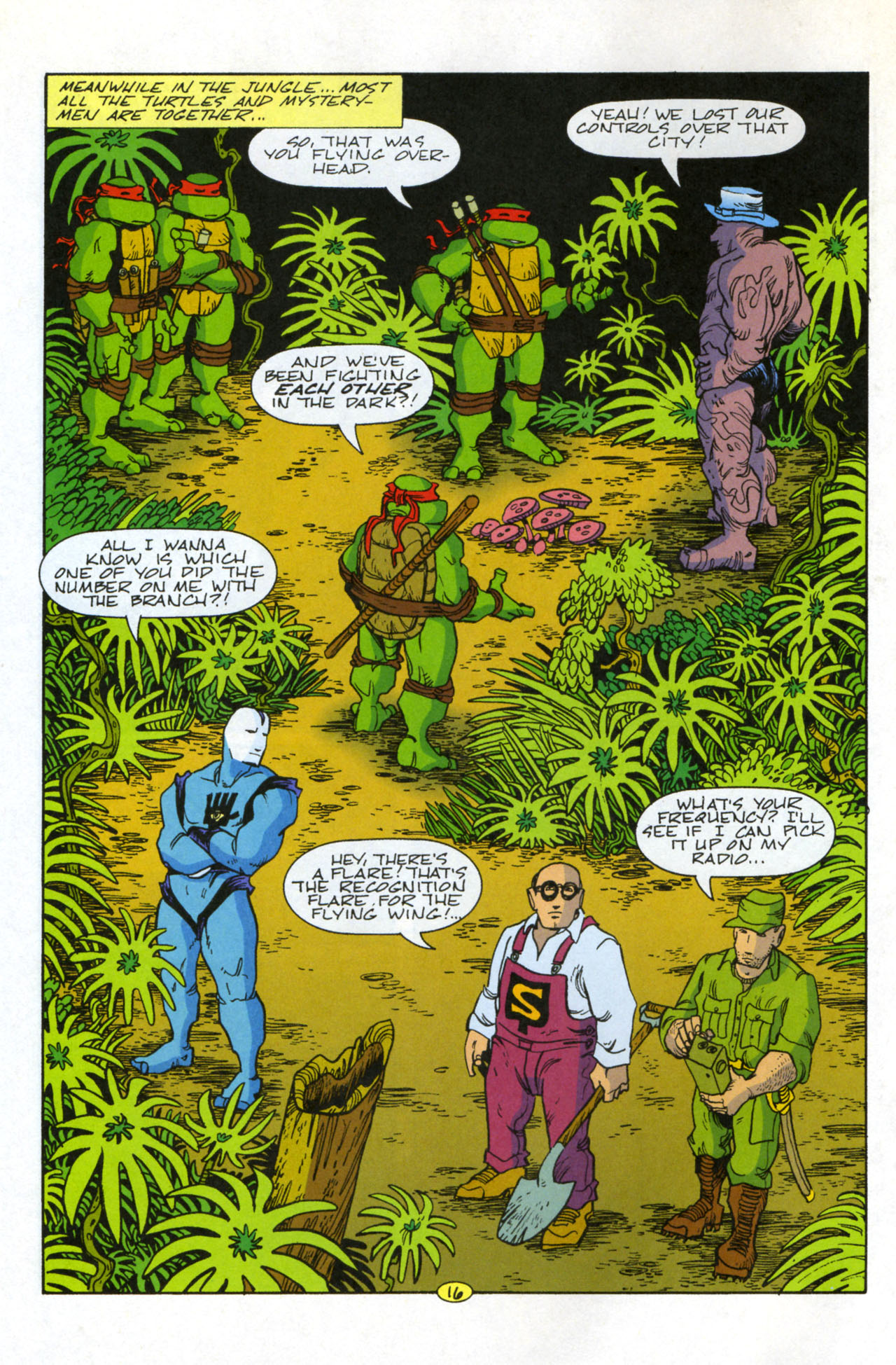 Teenage Mutant Ninja Turtles/Flaming Carrot Crossover Issue #2 #2 - English 18