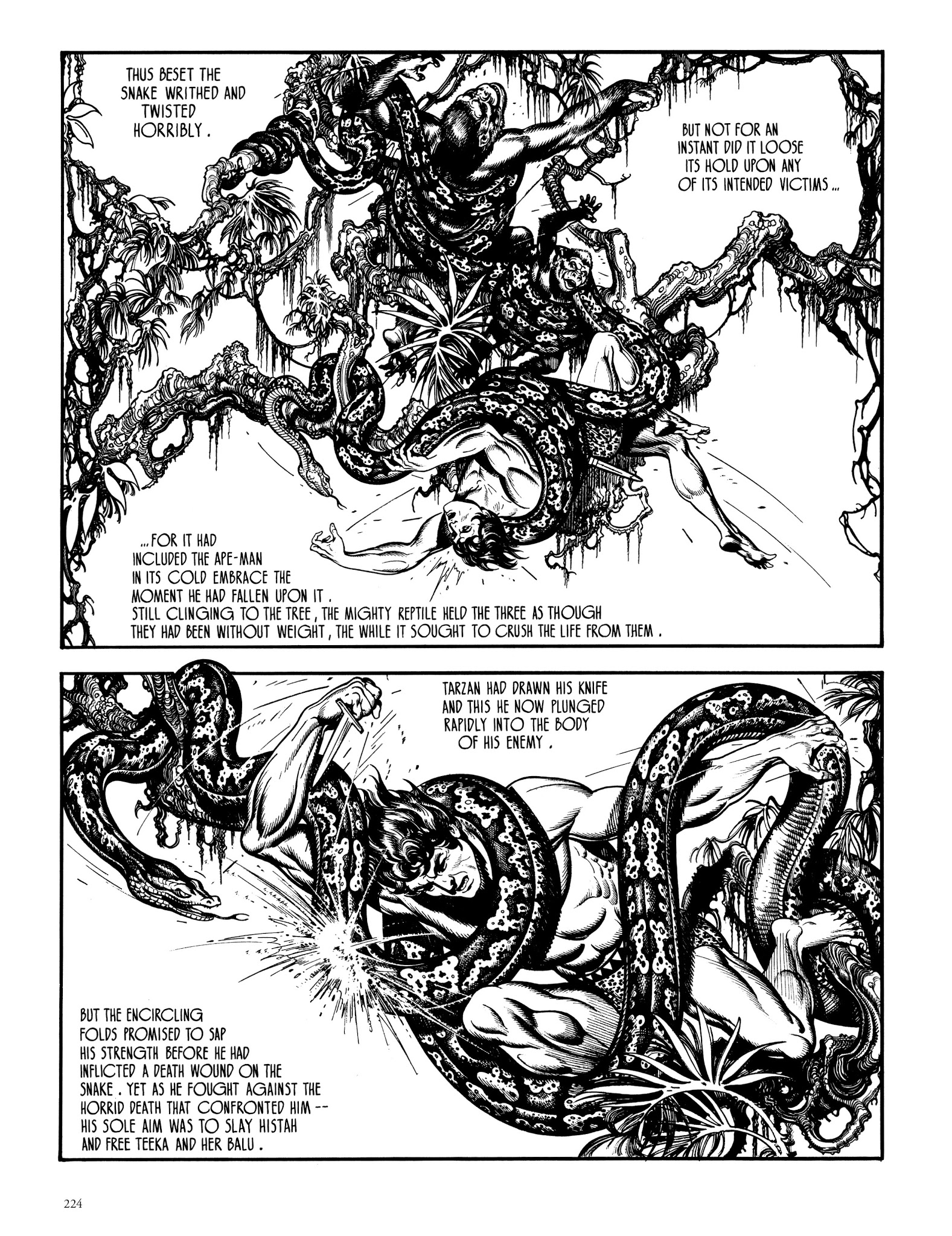 Read online Edgar Rice Burroughs' Tarzan: Burne Hogarth's Lord of the Jungle comic -  Issue # TPB - 223