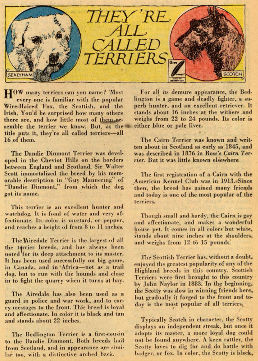 Read online The Adventures of Rex the Wonder Dog comic -  Issue #6 - 23