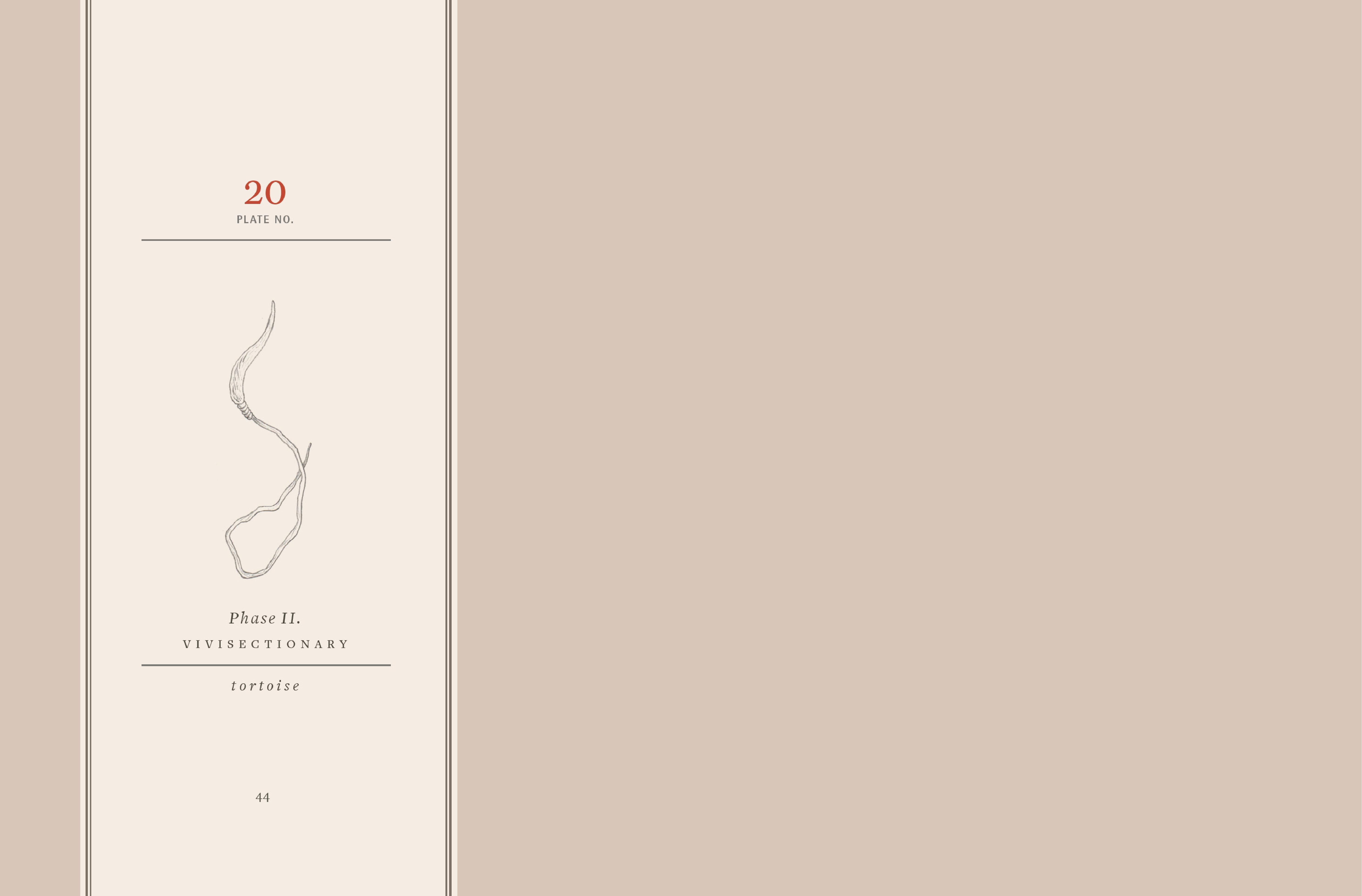 Read online Vivisectionary comic -  Issue # TPB - 45