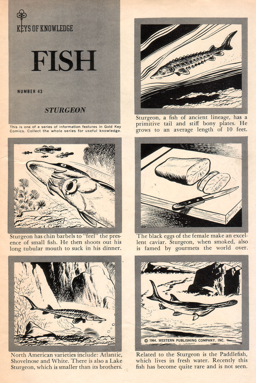 Read online Boris Karloff Tales of Mystery comic -  Issue #7 - 35