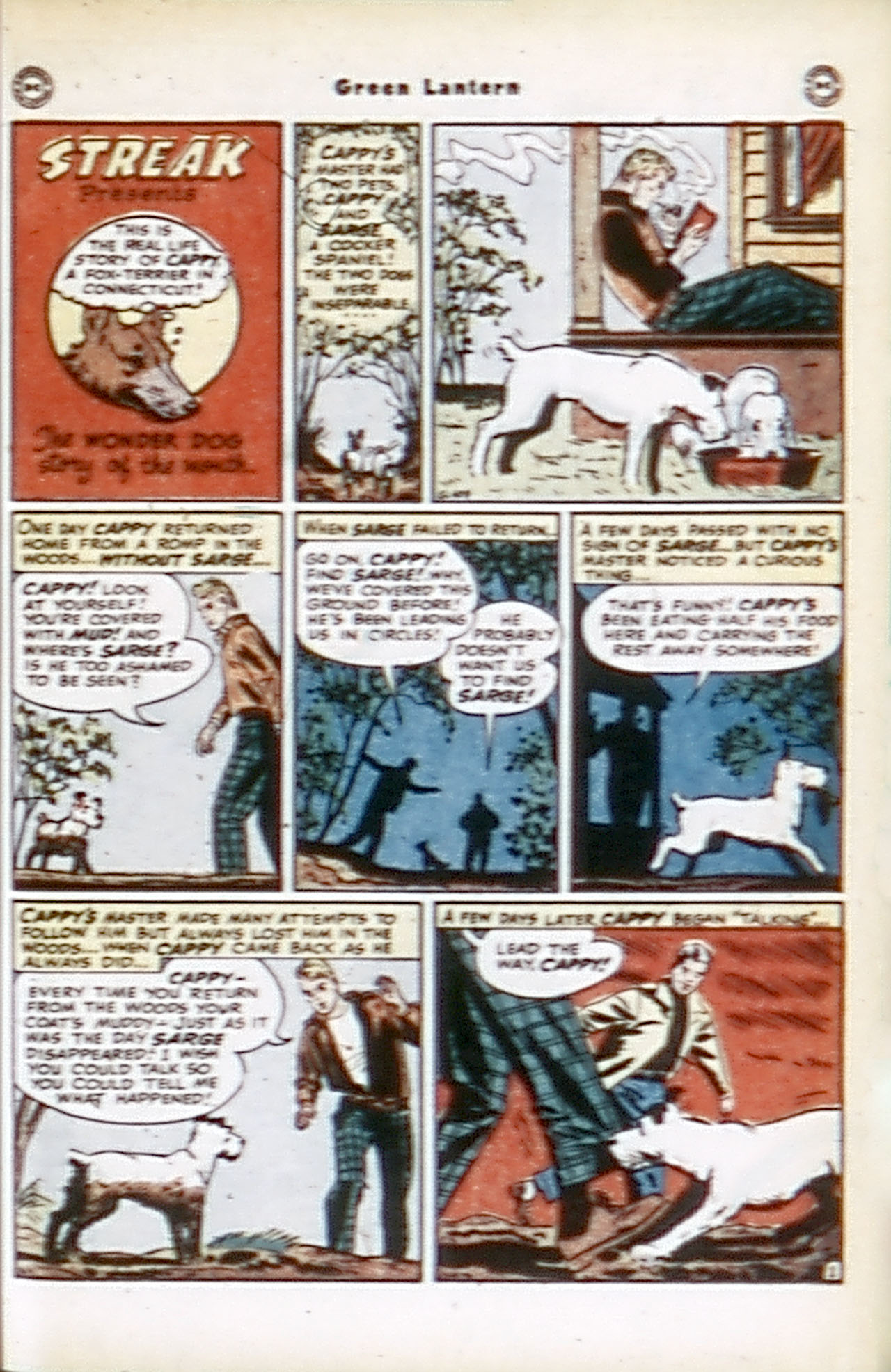 Read online Green Lantern (1941) comic -  Issue #35 - 31