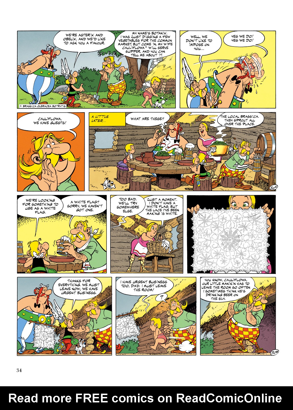 Read online Asterix comic -  Issue #24 - 35