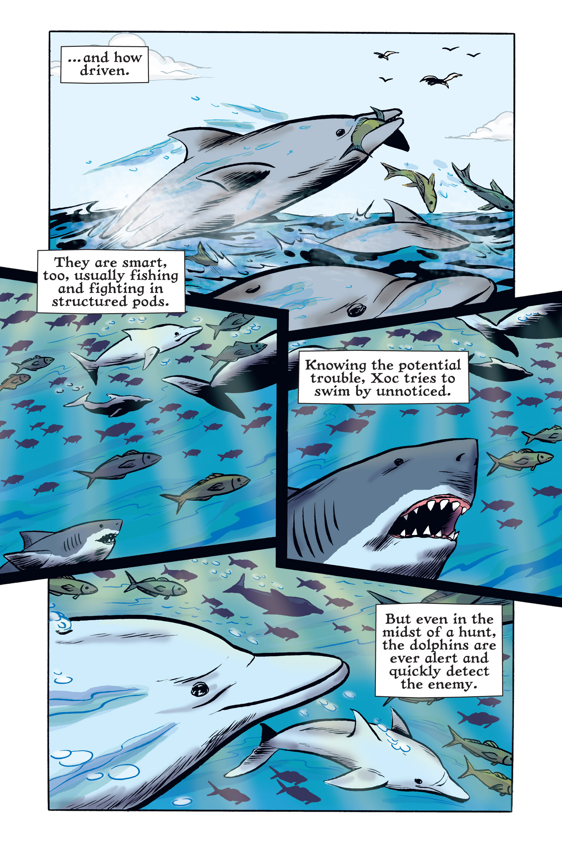 Read online Xoc: Journey of a Great White comic -  Issue # TPB - 94