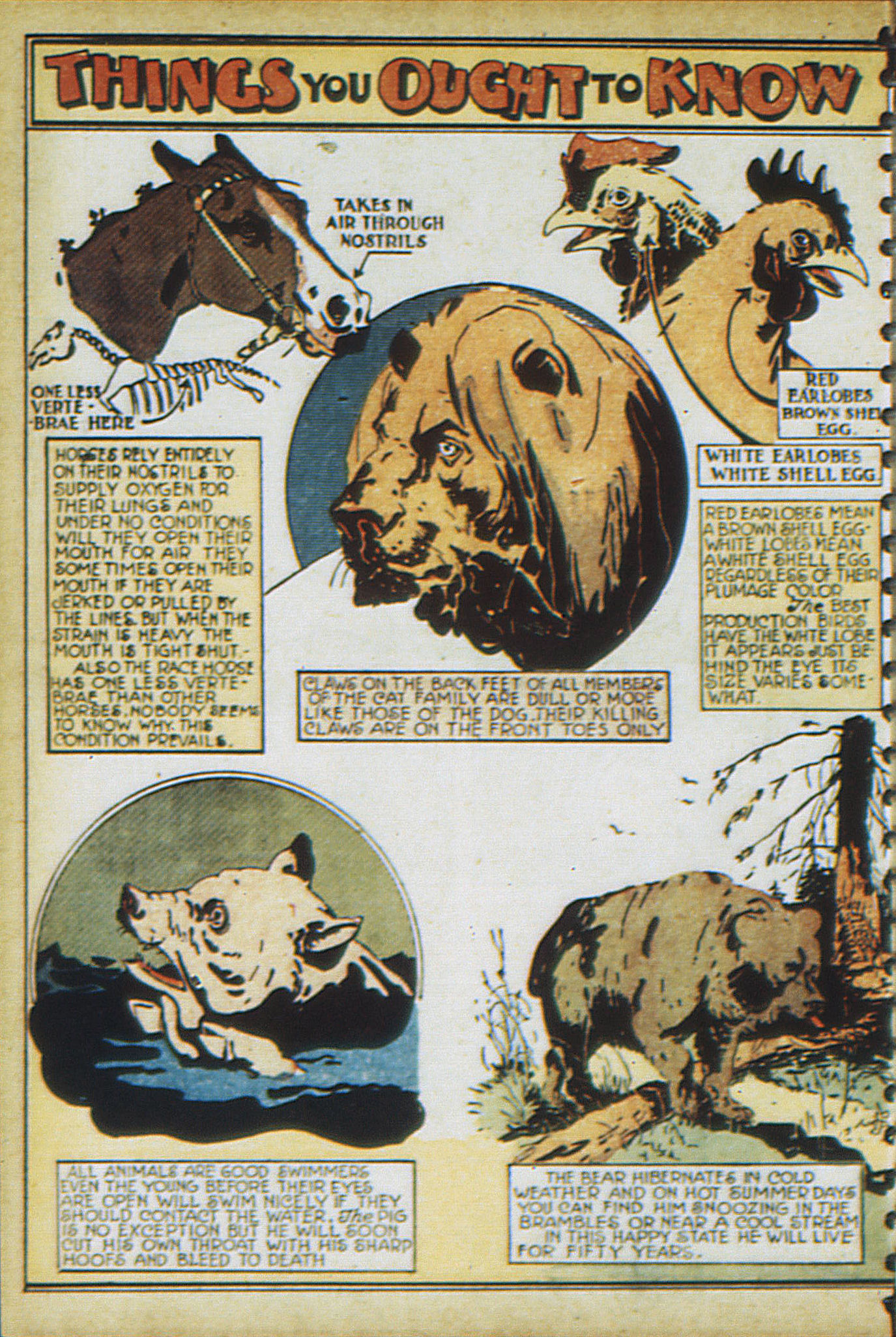 Read online Adventure Comics (1938) comic -  Issue #17 - 67