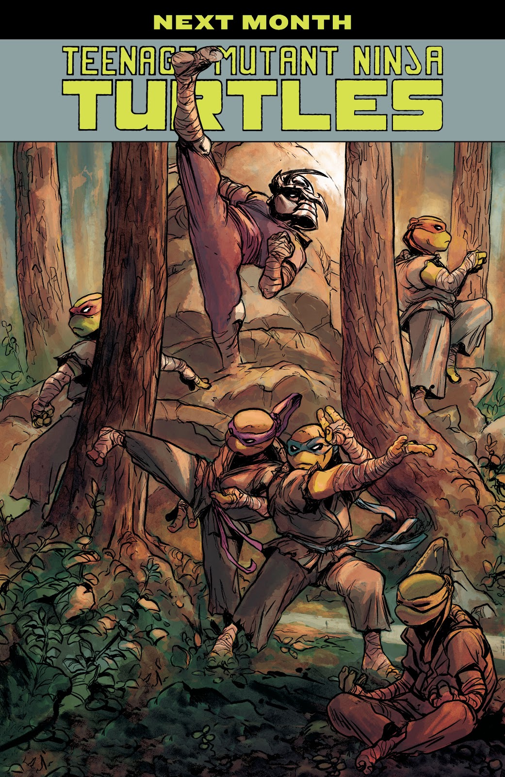 Teenage Mutant Ninja Turtles (2011) issue 130 - Page 23