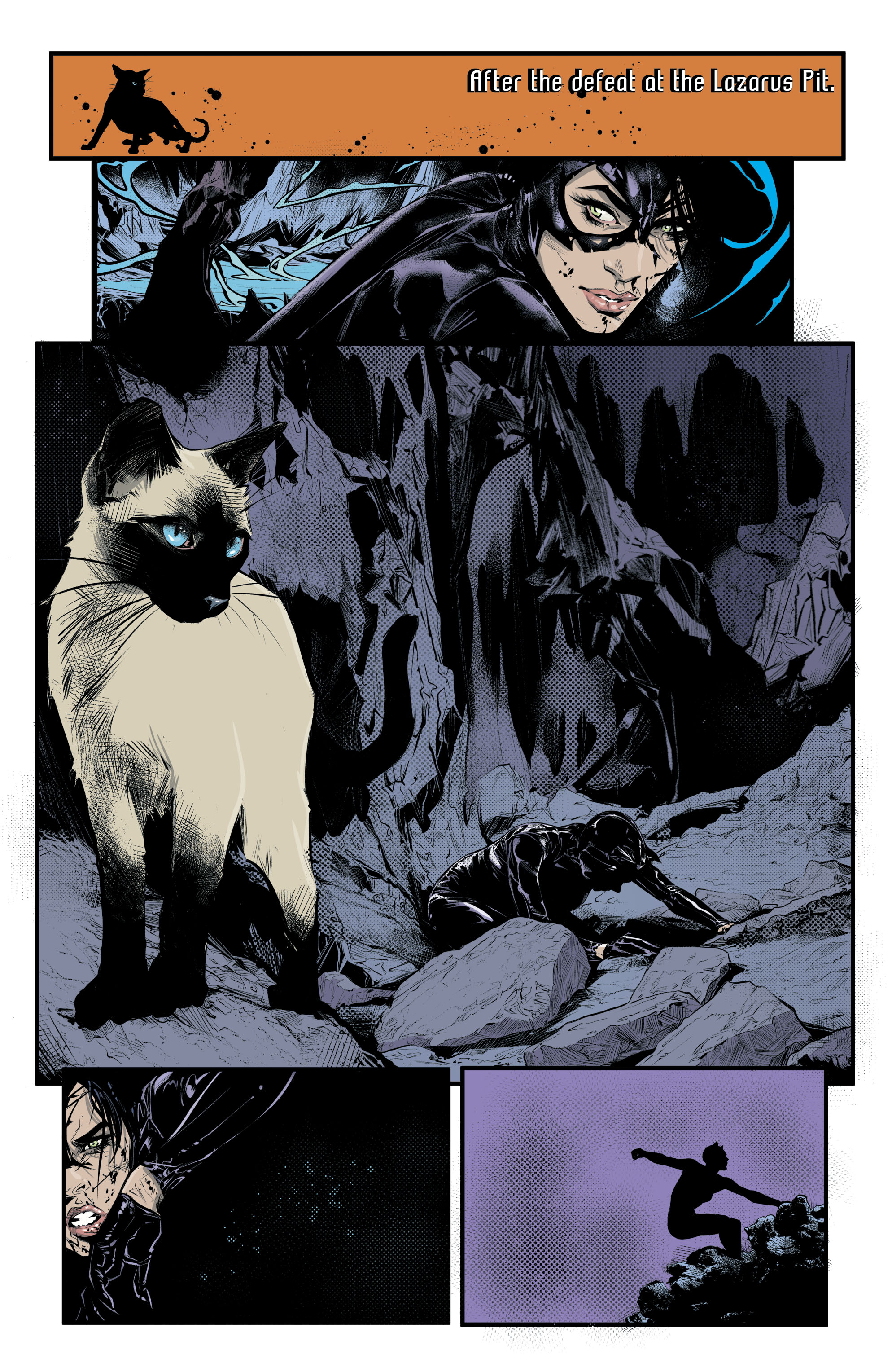 Read online Catwoman (2018) comic -  Issue #16 - 19