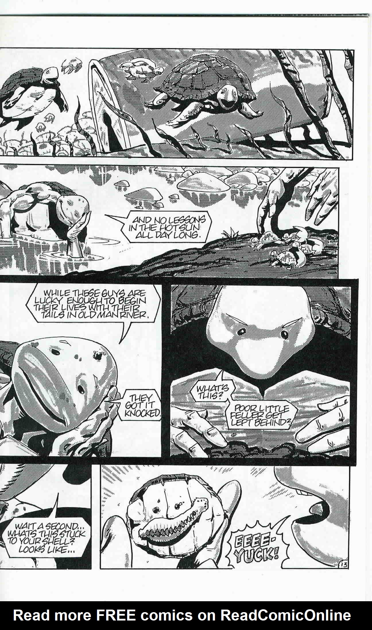 Read online Teenage Mutant Ninja Turtles (1984) comic -  Issue #24 - 14