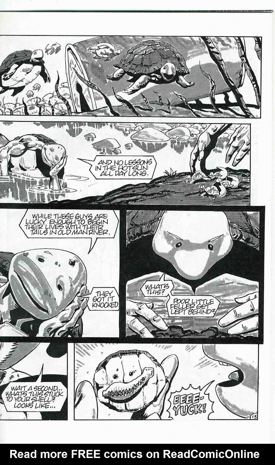 Teenage Mutant Ninja Turtles (1984) Issue #24 #24 - English 14
