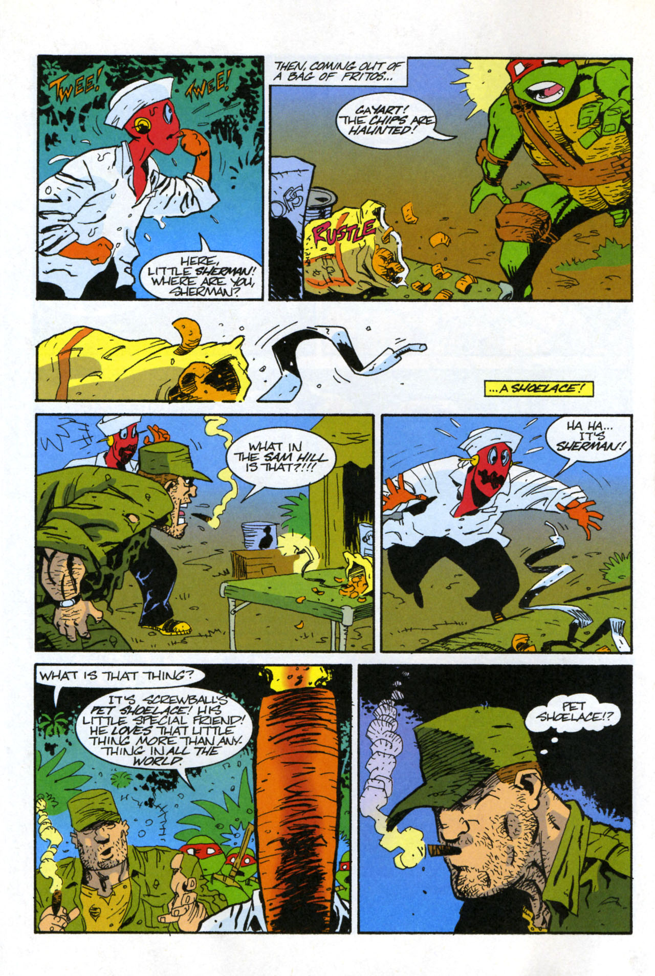 Teenage Mutant Ninja Turtles/Flaming Carrot Crossover Issue #3 #3 - English 14