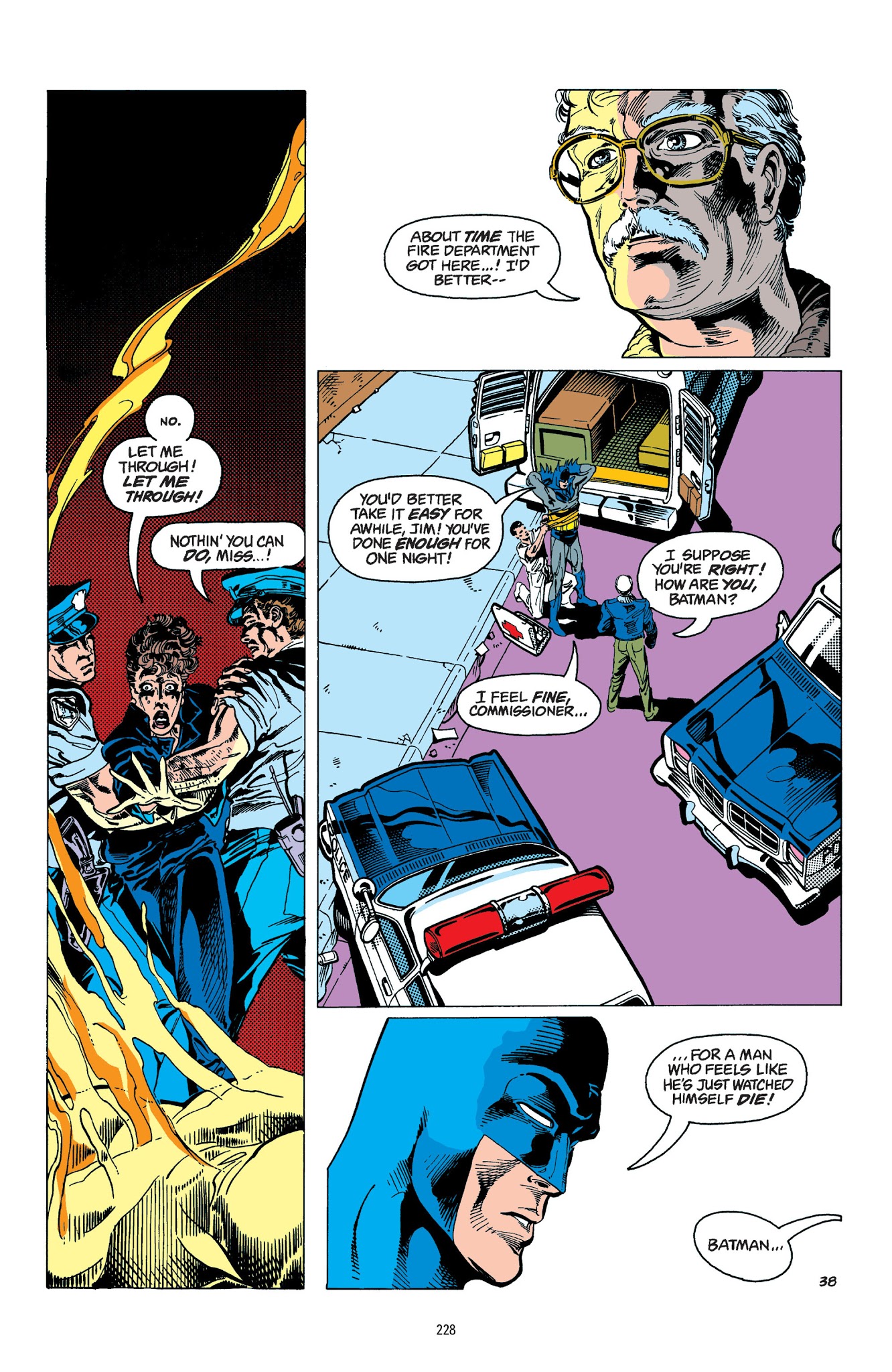 Read online Batman: A Celebration of 75 Years comic -  Issue # TPB - 230