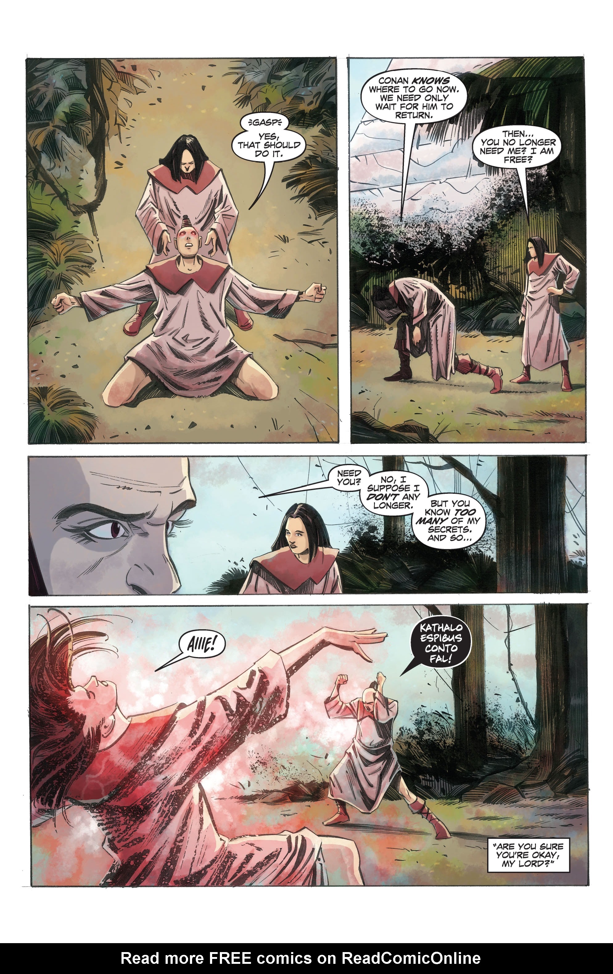 Read online King Conan Chronicles Epic Collection comic -  Issue # Phantoms and Phoenixes (Part 5) - 12
