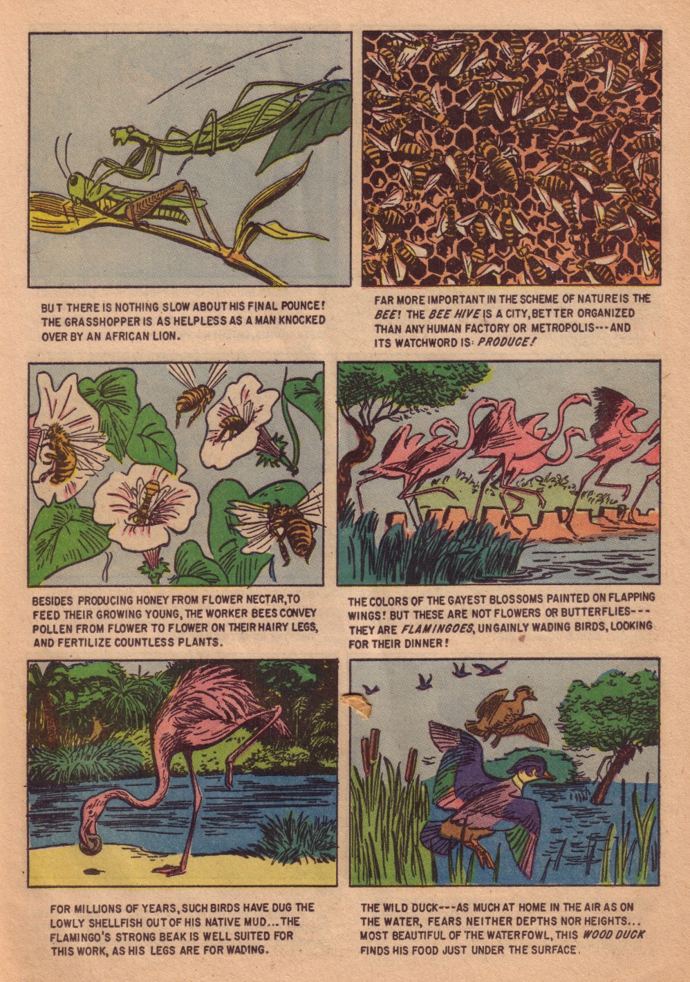 Read online Four Color Comics comic -  Issue #713 - 25