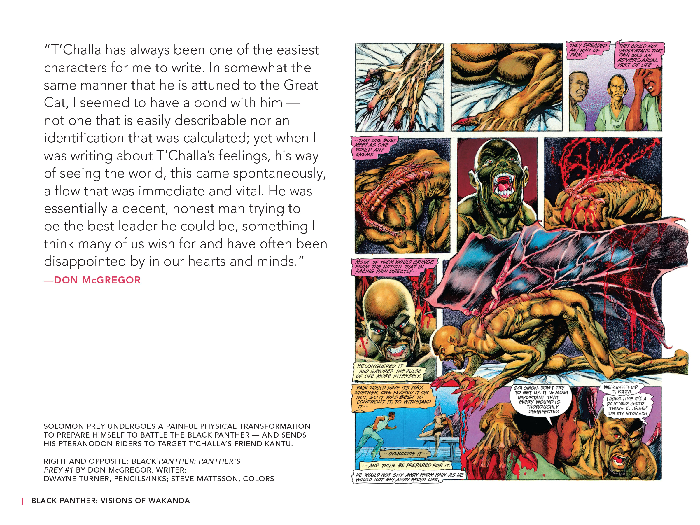 Read online Black Panther: Visions of Wakanda comic -  Issue # TPB (Part 2) - 28