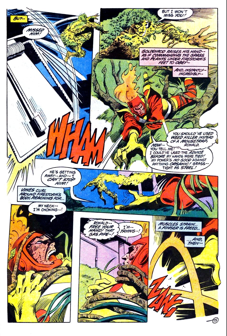 The Fury of Firestorm Issue #19 #23 - English 16