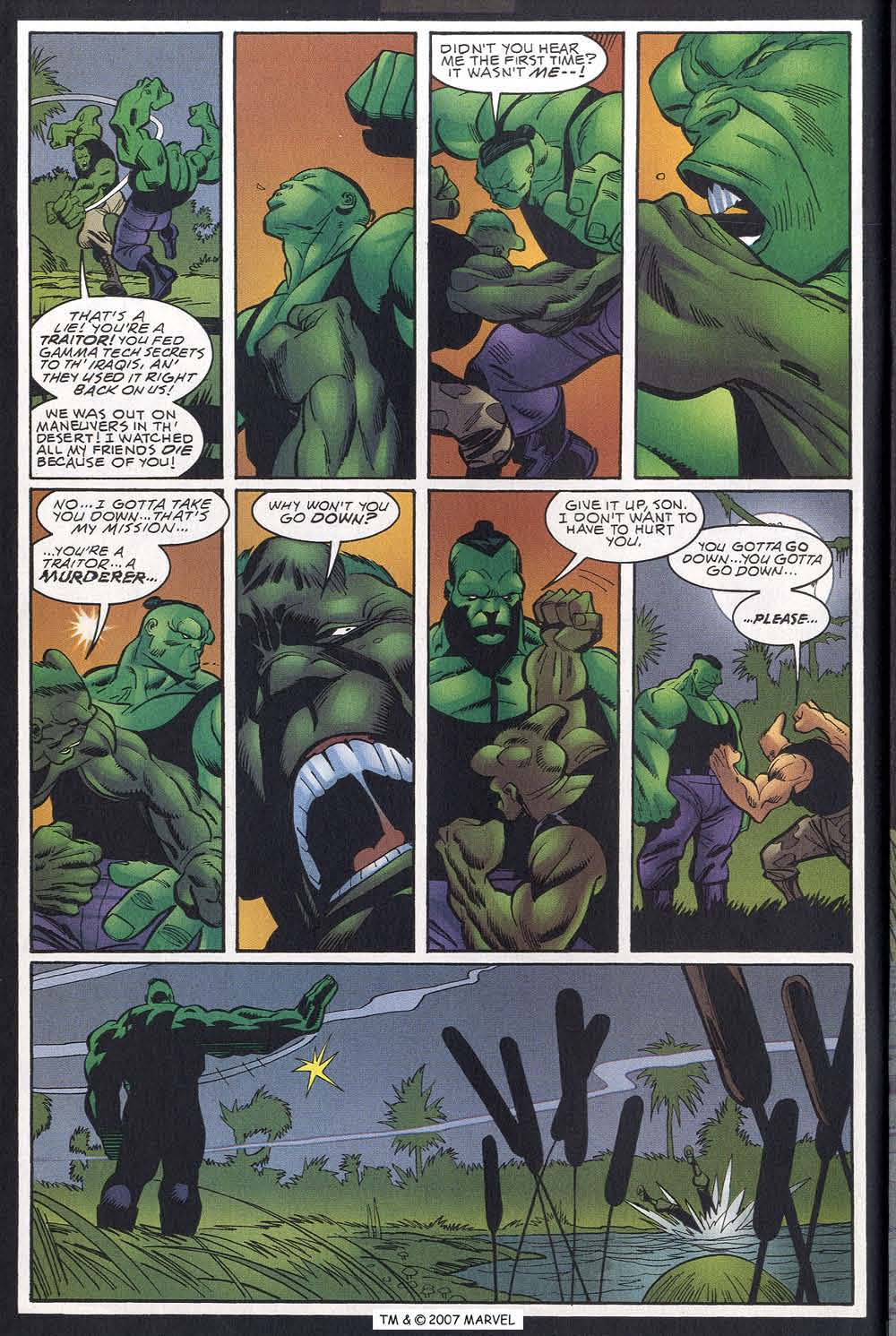 The Incredible Hulk (2000) Issue #17 #6 - English 30