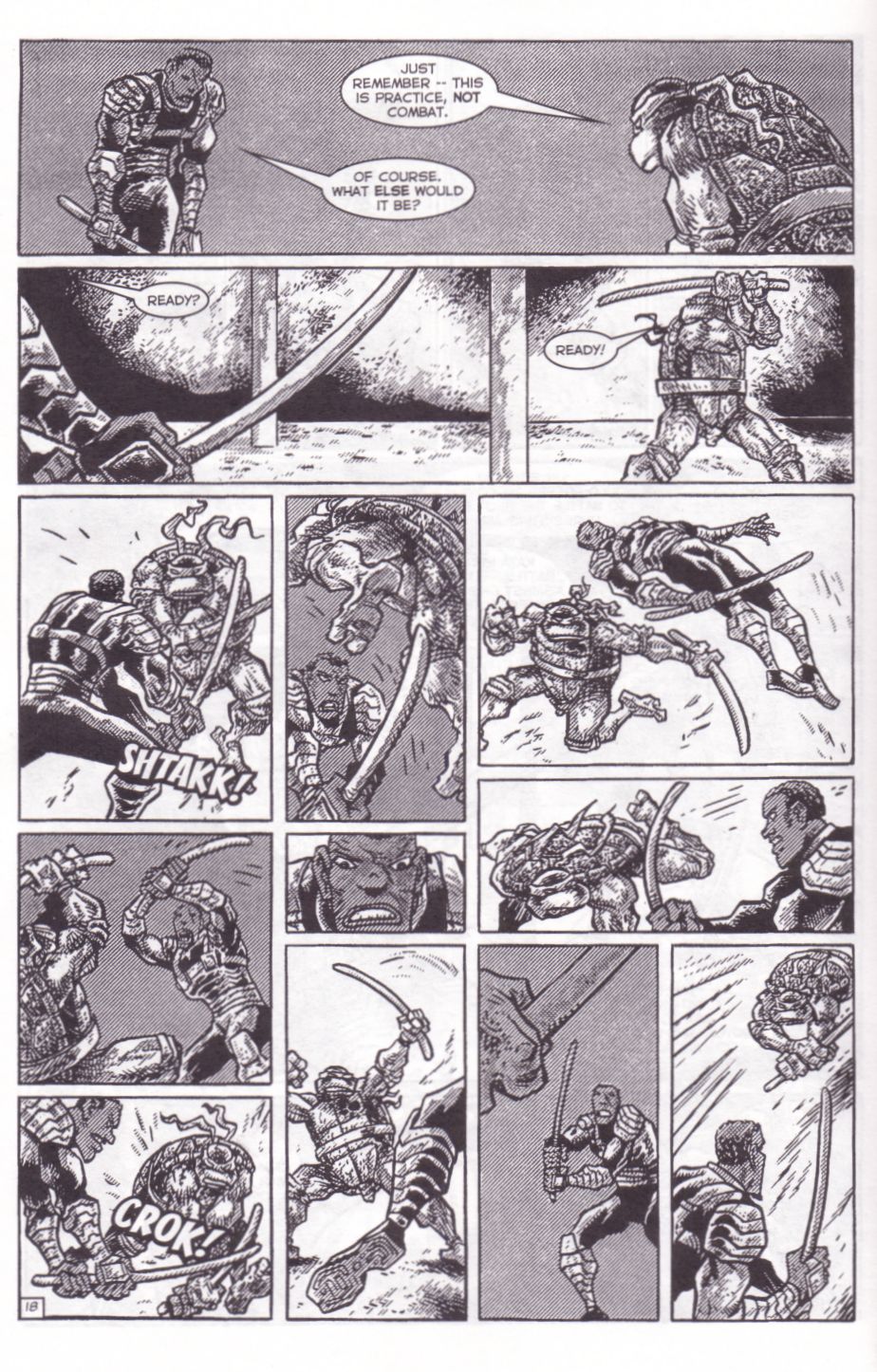 TMNT: Teenage Mutant Ninja Turtles issue 8 - Page 20