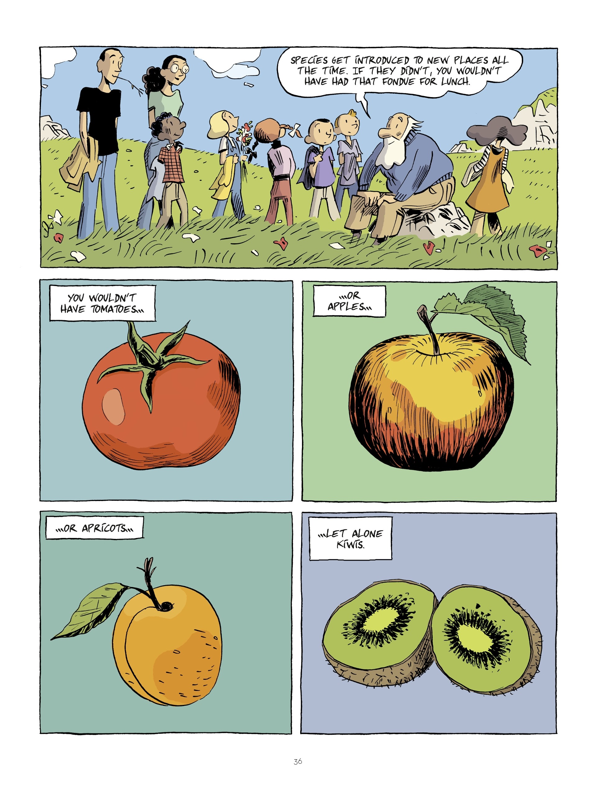 Read online Hubert Reeves Explains comic -  Issue #1 - 36