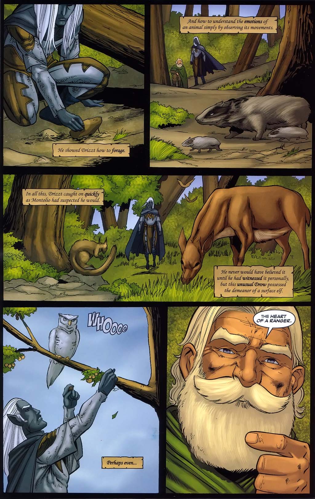 Read online Forgotten Realms: Sojourn comic -  Issue #2 - 33