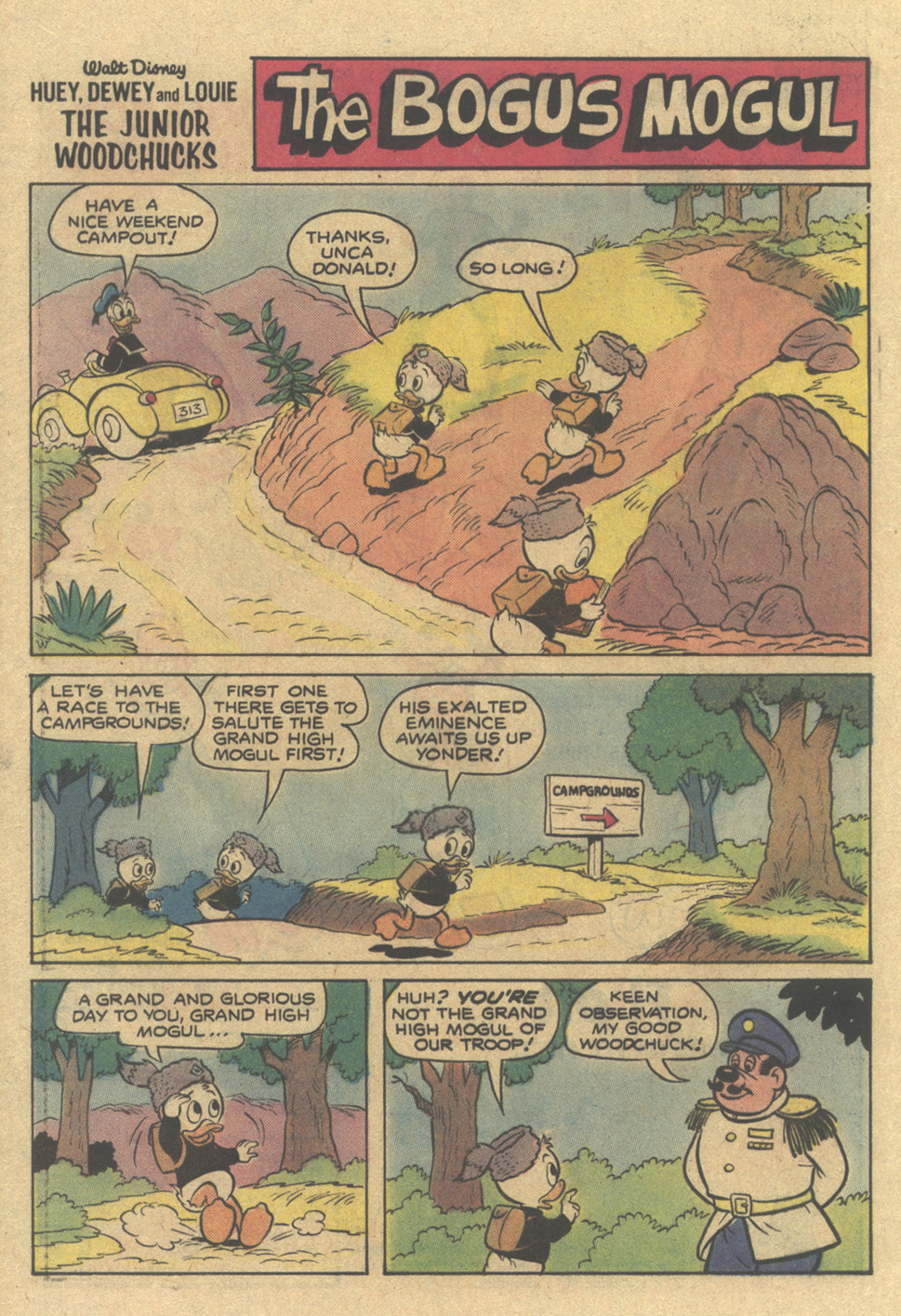 Read online Huey, Dewey, and Louie Junior Woodchucks comic -  Issue #54 - 24