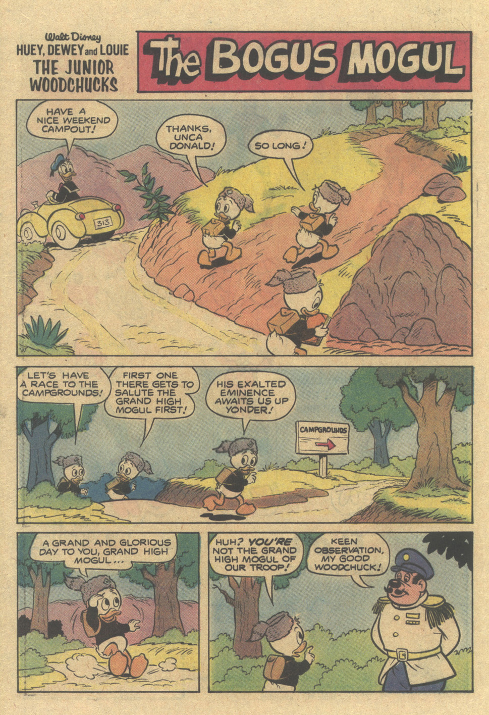 Read online Huey, Dewey, and Louie Junior Woodchucks comic -  Issue #54 - 24