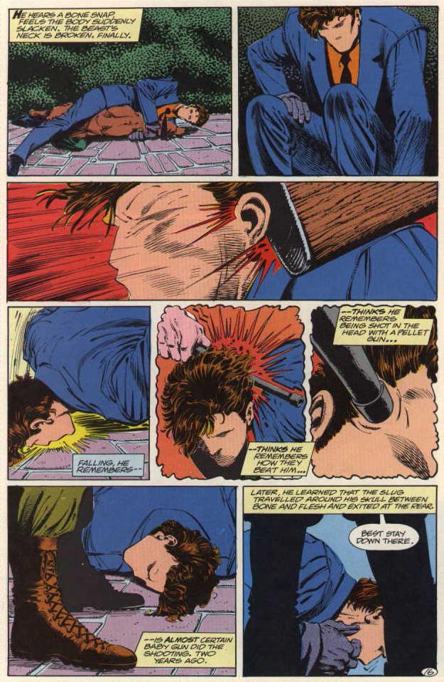 The Question (1987) issue 12 - Page 17