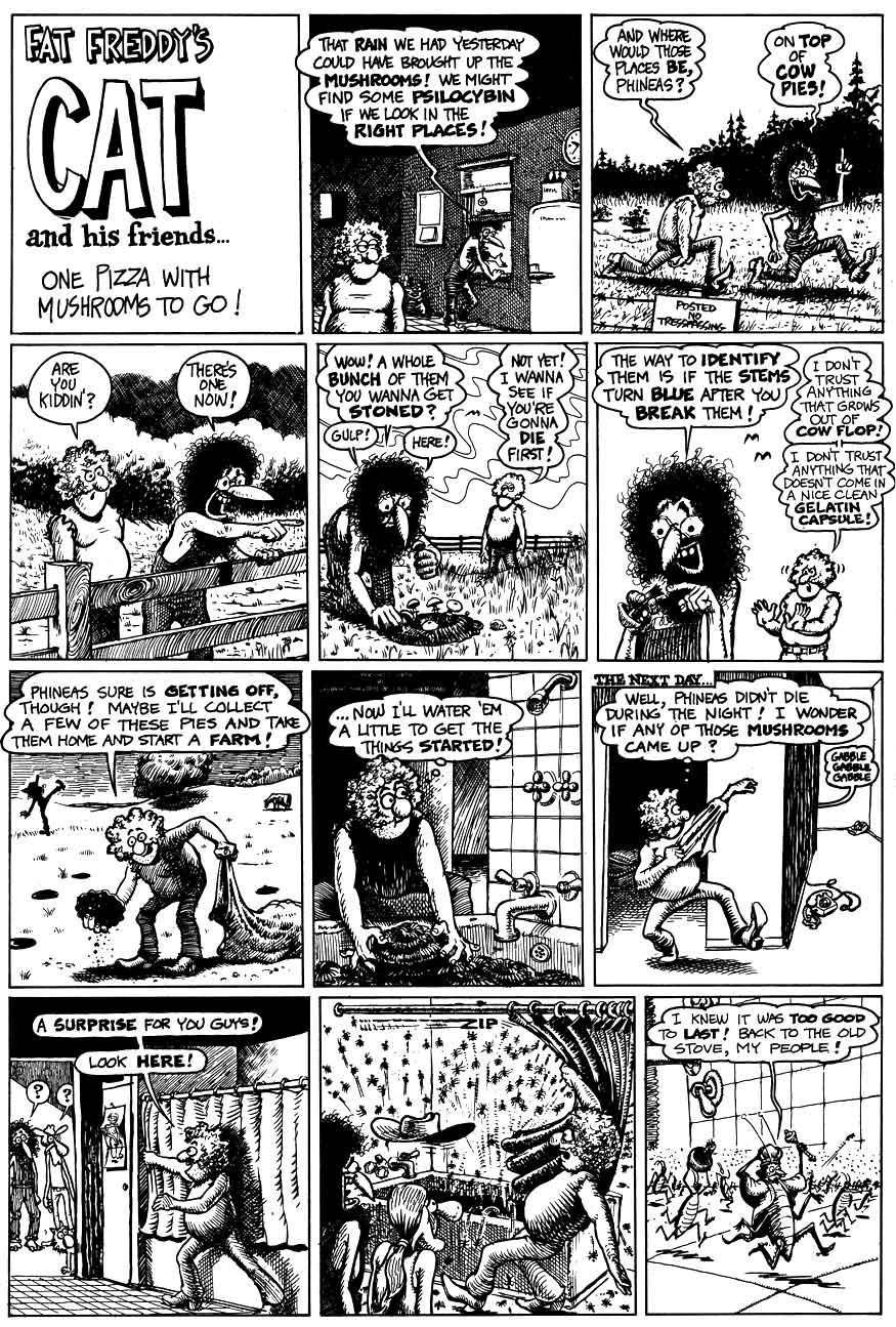 The Fabulous Furry Freak Brothers issue 4 - Page 35